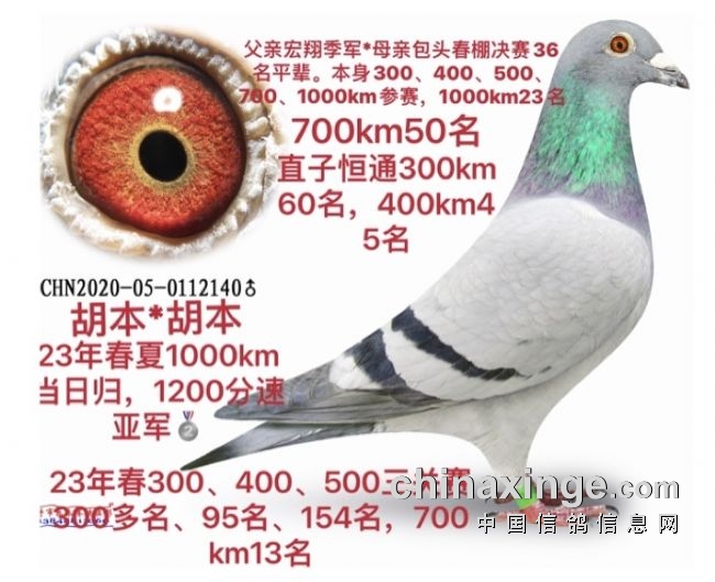 23����ͺ�����ǧ�����Ǿ���20�������������6�����3��4��5��7��1000�������������ǧ����23�������䲻��8���¡�22�����3��4��5��700�����������700����50����23�����3��4��5��7��1000�����������400����95����500����154����7000����13����1000�����Ǿ������쵽������1207�ף���