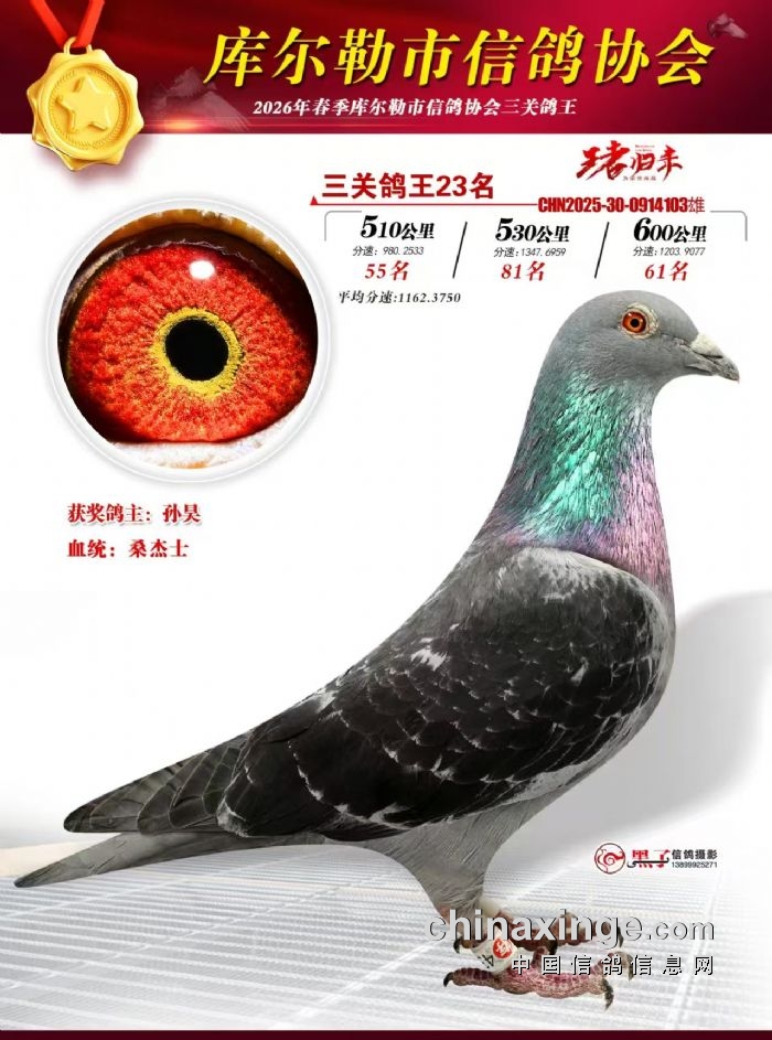 ��ʮ����