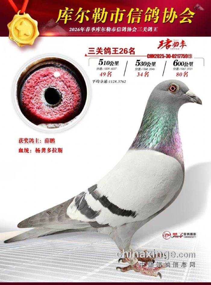 ��ʮ����