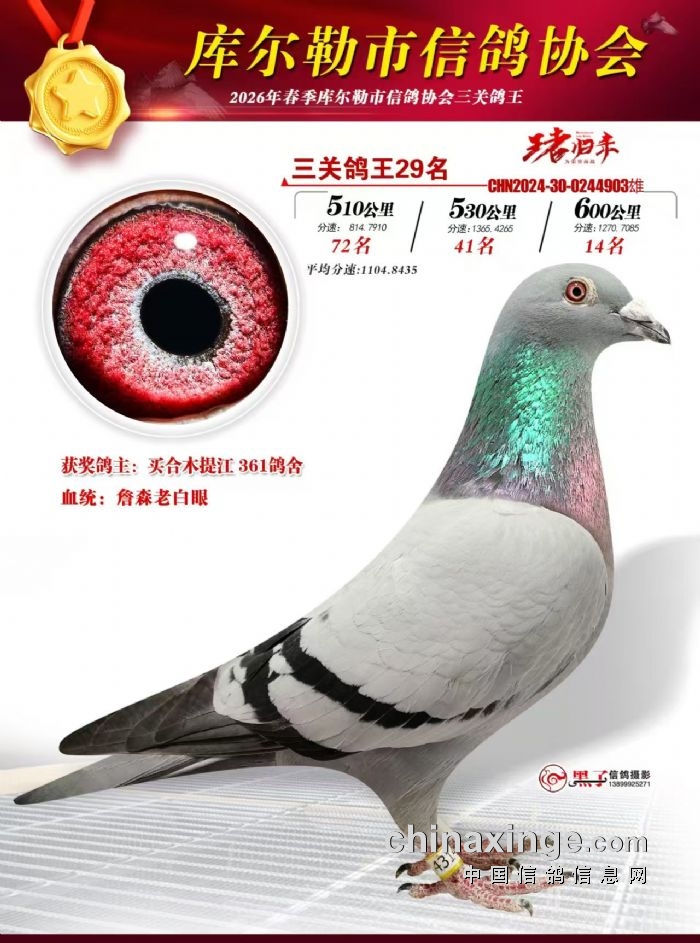 ��ʮ����