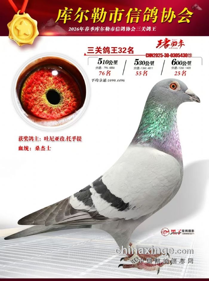 ��ʮ����