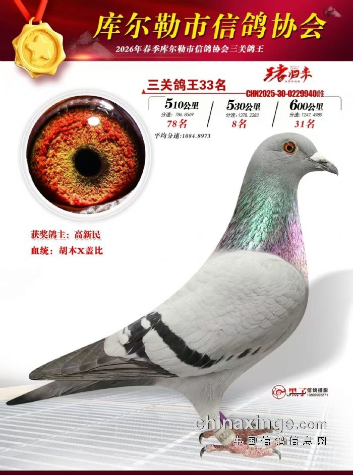 ��ʮ����