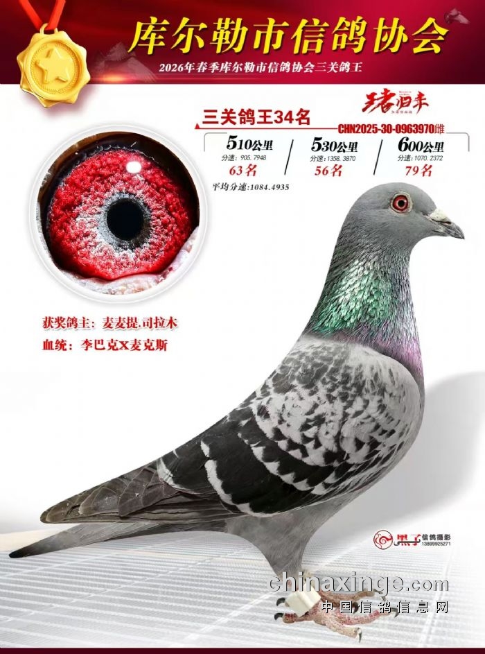 ��ʮ����