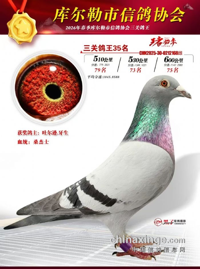 ��ʮ����