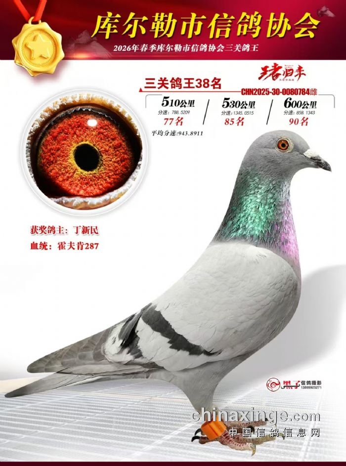 ��ʮ����