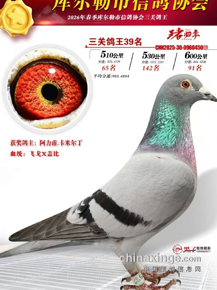 ��ʮ����