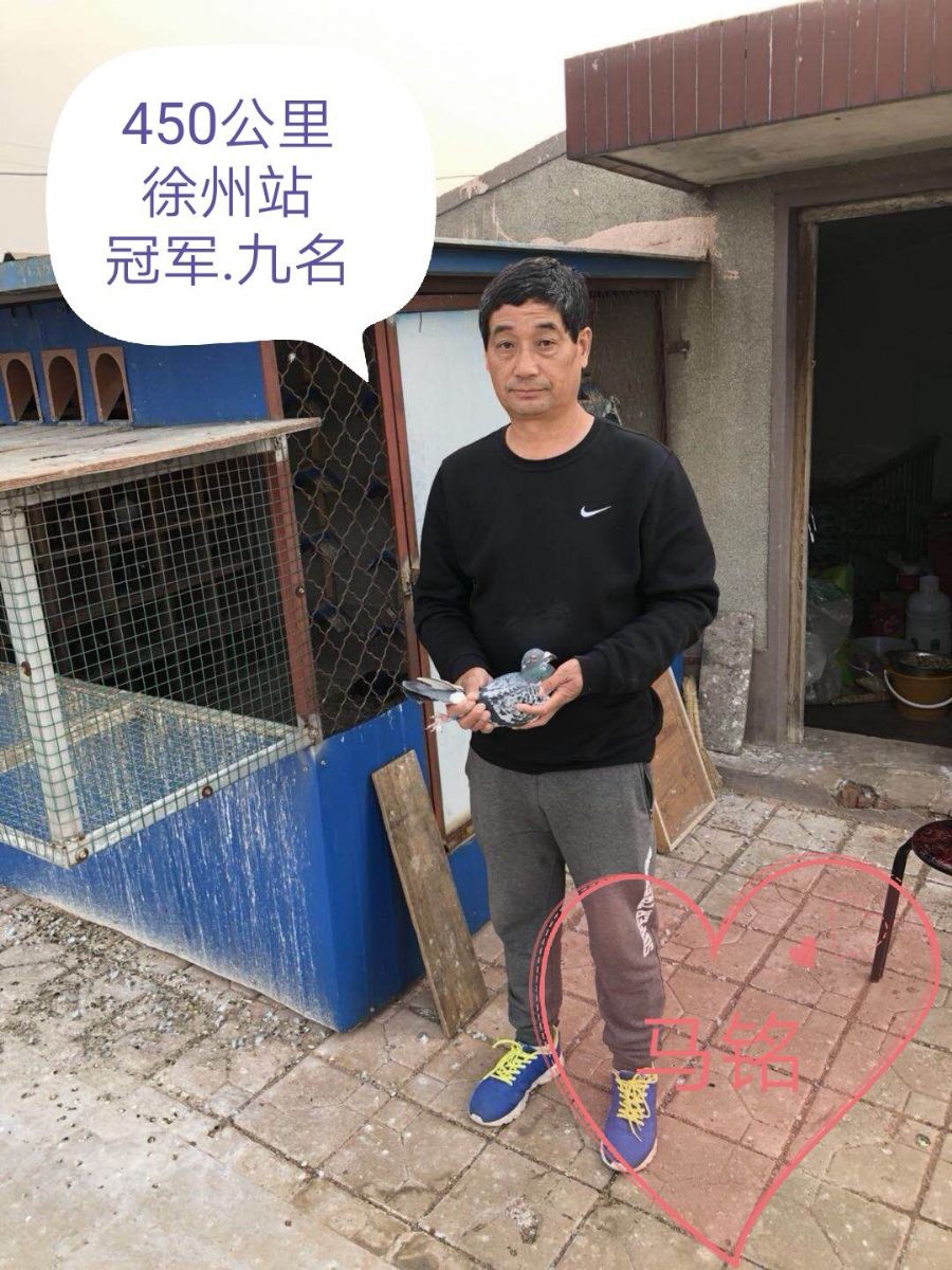 �����ȫͼ