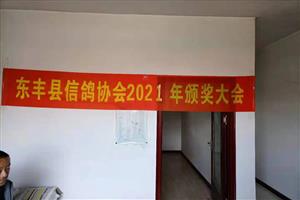 2021佱
