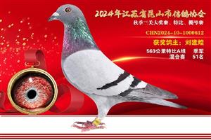 鿴øϸ..