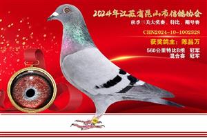 鿴øϸ..