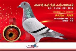 鿴øϸ..