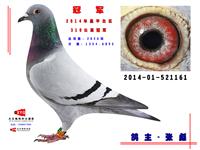 �����в�ƽ���Ÿ�Э��