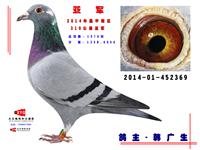 �����в�ƽ���Ÿ�Э��