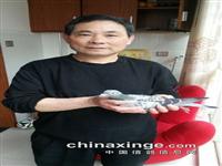 �����汱��������ίԱ��