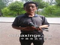 �����汱��������ίԱ��