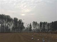 �ӱ������������Ÿ�Э��