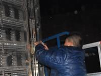 �ӱ�ʡ�������Ÿ�Э����ֻ�