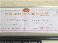 ��������������Ÿ�Э��