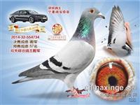 ���������н���������Ÿ�Э��