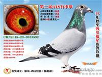 ���������н���������Ÿ�Э��