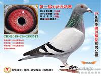 ���������н���������Ÿ�Э��