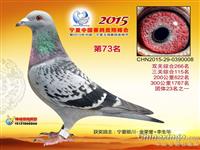 ���������н���������Ÿ�Э��