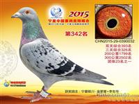 ���������н���������Ÿ�Э��