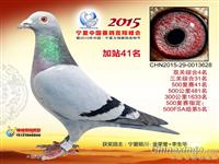 ���������н���������Ÿ�Э��