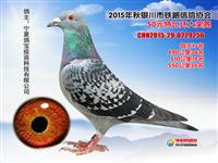 ���������н���������Ÿ�Э��