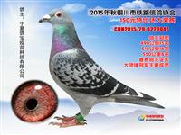 ���������н���������Ÿ�Э��