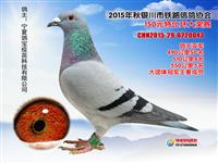 ���������н���������Ÿ�Э��