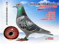 ���������н���������Ÿ�Э��