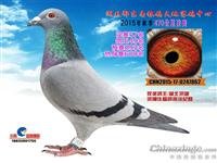 ����ʡ������Ÿ�Э��