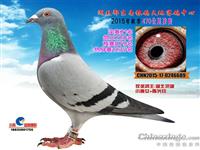 ����ʡ������Ÿ�Э��