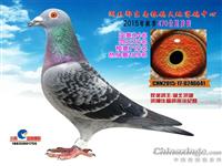 ����ʡ������Ÿ�Э��