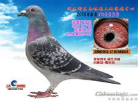 ����ʡ������Ÿ�Э��