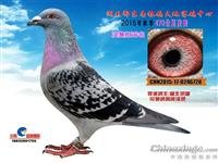 ����ʡ������Ÿ�Э��