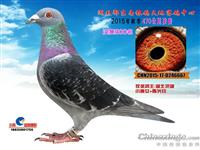 ����ʡ������Ÿ�Э��