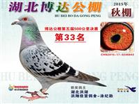 ����ʡ������Ÿ�Э��