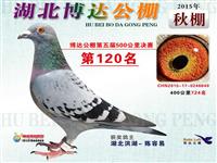 ����ʡ������Ÿ�Э��