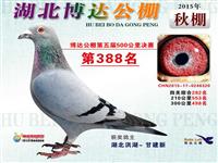 ����ʡ������Ÿ�Э��