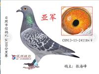 ɽ���������Ÿ�Э��