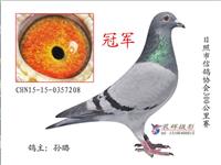 ɽ���������Ÿ�Э��