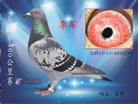 ɽ���������Ÿ�Э��