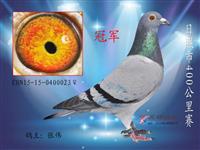 ɽ���������Ÿ�Э��