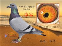 ɽ���������Ÿ�Э��