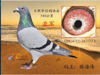 ɽ���������Ÿ�Э��