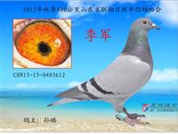 ɽ���������Ÿ�Э��