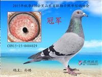 ɽ���������Ÿ�Э��