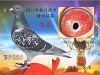 ɽ���������Ÿ�Э��